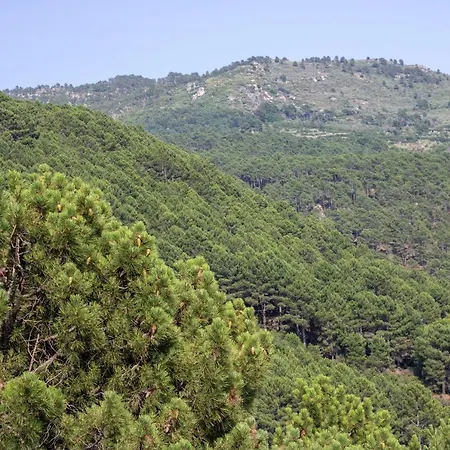 La Tendera By #cherrygredos *