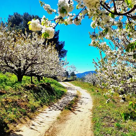 La Tendera By #cherrygredos