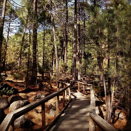 La Tendera By #cherrygredos 埃尔阿雷纳尔