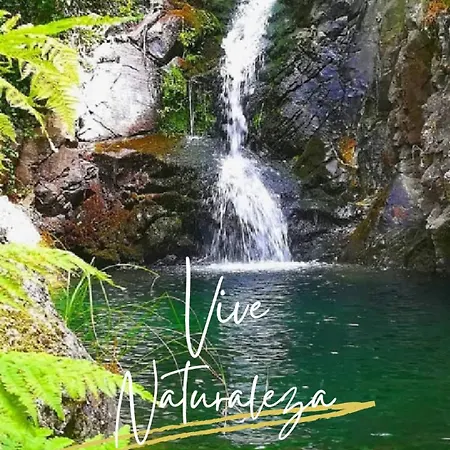 公寓 La Tendera By #cherrygredos