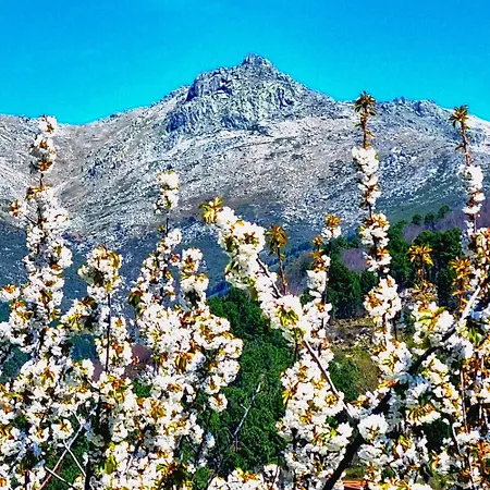 La Tendera By #cherrygredos