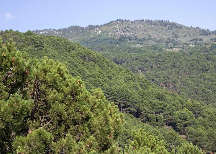 La Tendera By #cherrygredos *