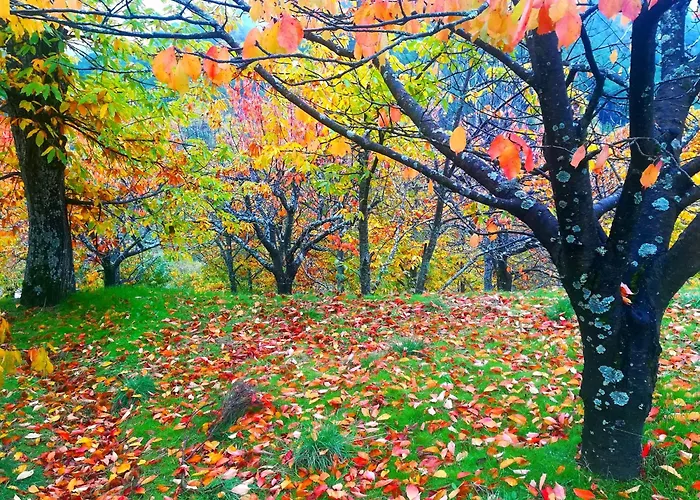 La Tendera By #cherrygredos Lejlighed *