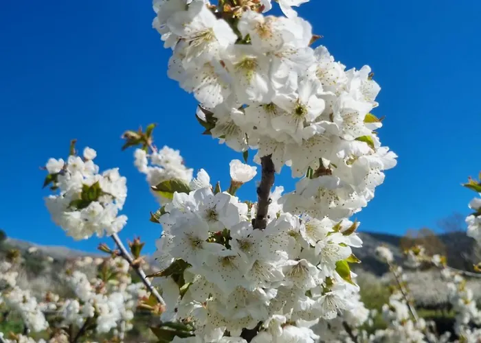 Lejlighed La Tendera By #cherrygredos El Arenal (Castile and Leon)