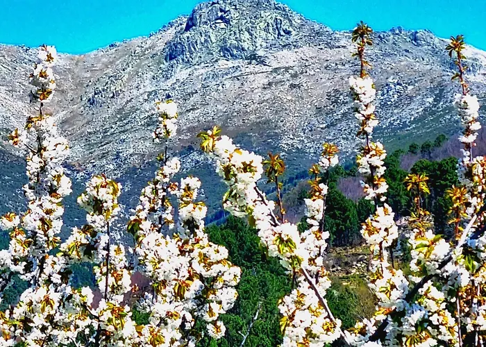 La Tendera By #cherrygredos